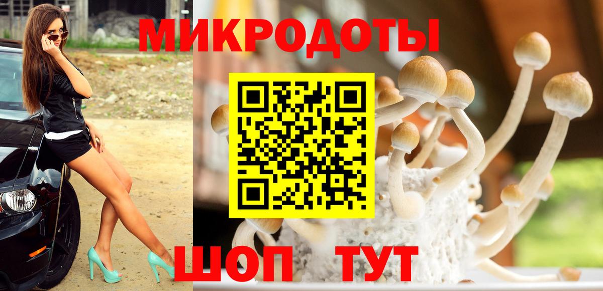 Псилоцибиновые грибы мухоморы  Вход с VPN  Михайловск 